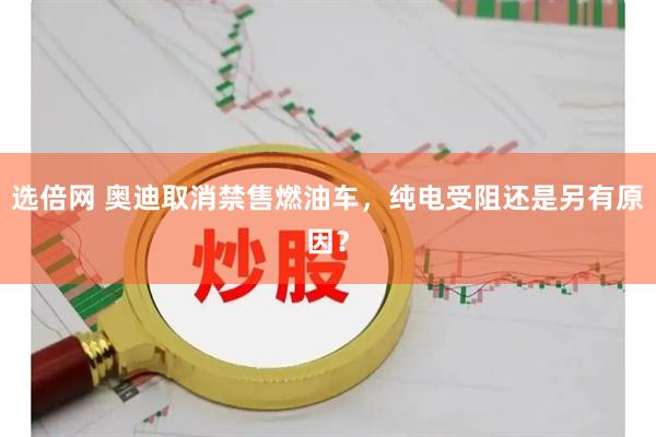 选倍网 奥迪取消禁售燃油车，纯电受阻还是另有原因？