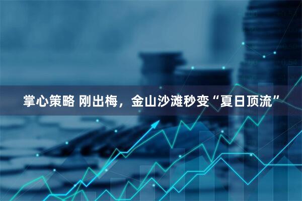 掌心策略 刚出梅，金山沙滩秒变“夏日顶流”