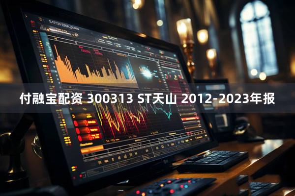 付融宝配资 300313 ST天山 2012-2023年报
