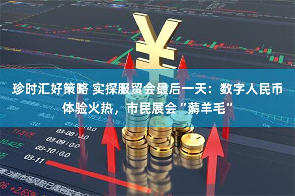 珍时汇好策略 实探服贸会最后一天：数字人民币体验火热，市民展会“薅羊毛”