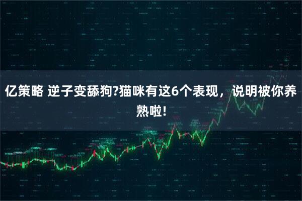 亿策略 逆子变舔狗?猫咪有这6个表现，说明被你养熟啦!